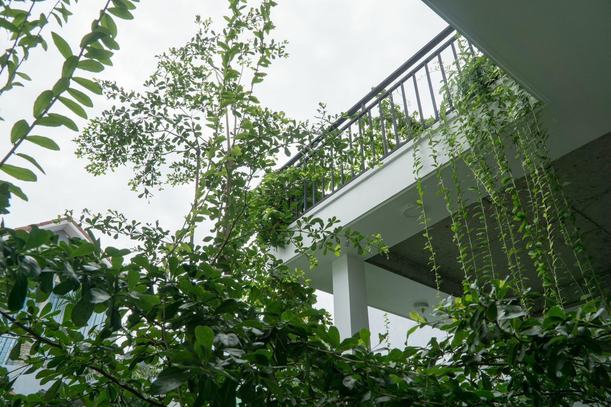 Kiu House - 3Br - Green & Artistic Đà Nẵng Kültér fotó